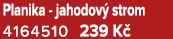 Planika jahodov strom 4164510 239 K 